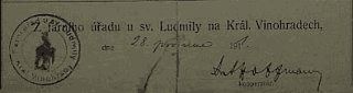 ludmila.png