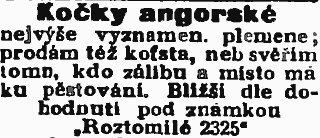 angora1.png
