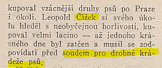 cizek.jpg
