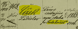 cizek1.png