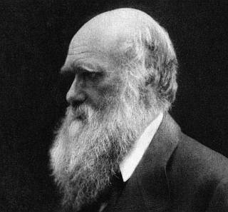 darwin.jpg