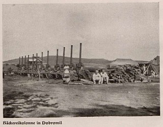 dobromil.jpg