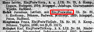 has_abzeichen.png