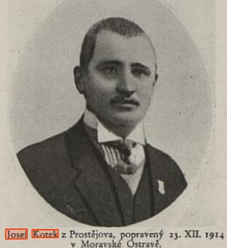 kotek.jpg