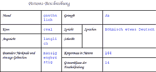 kudej7.png