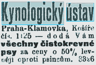 kynolog.png
