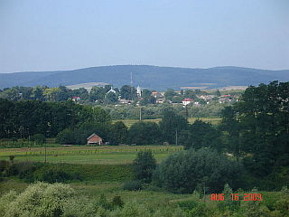 nizankovice.jpg