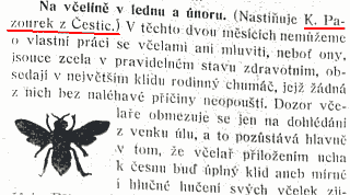 pazourek2.png