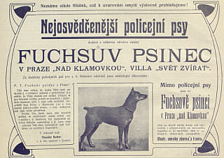 psinec.jpg