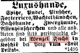 psinec0.jpg