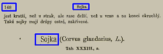 sojka_b.png