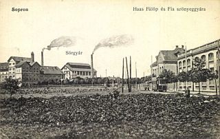 sopron1.jpg