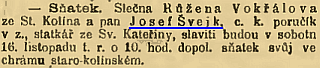 svejk2.png