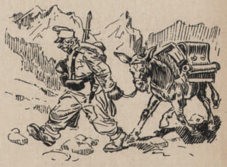 svejk_italie.jpg