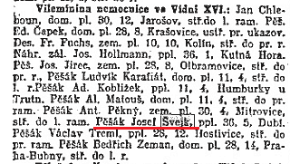 svejk_krank.png