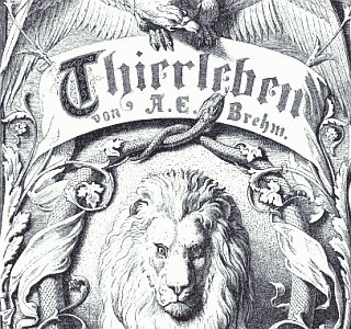 thierleben.png