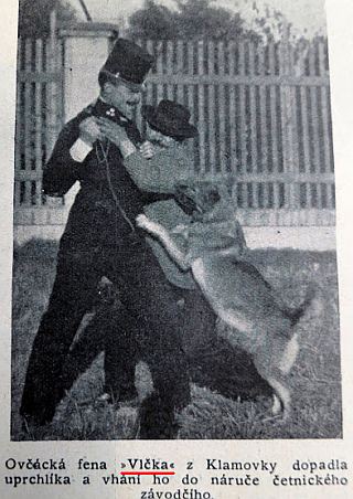 wolfin.jpg