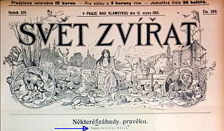 zvirat0.jpg
